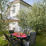 App. Mimosa Minerva Appartement *