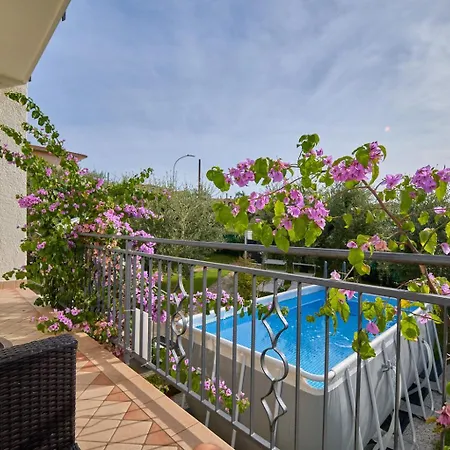 Apartment App. Mimosa Minerva *