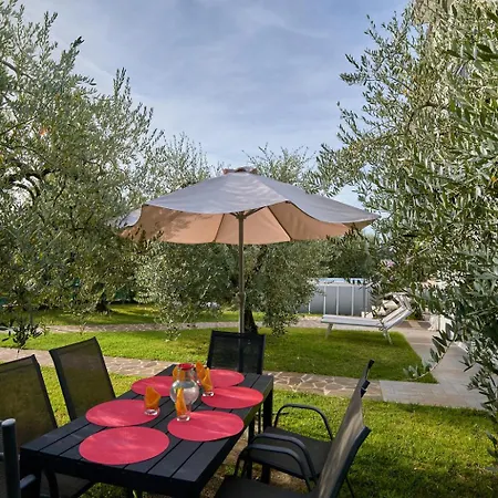 Apartment App. Mimosa Minerva *