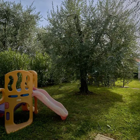 Appartement App. Mimosa Minerva