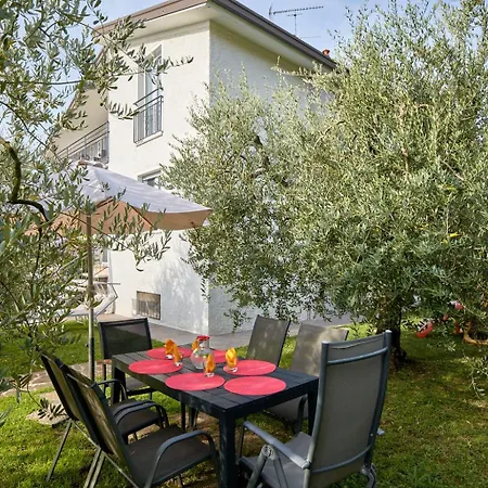App. Mimosa Minerva Appartement *