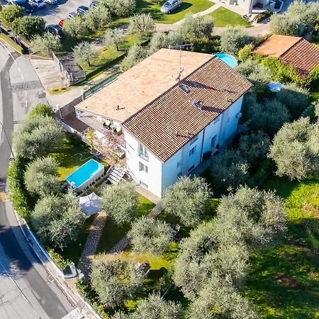 App. Mimosa Minerva Appartement *