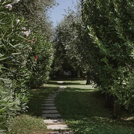 Daire App. Mimosa Minerva Manerba del Garda